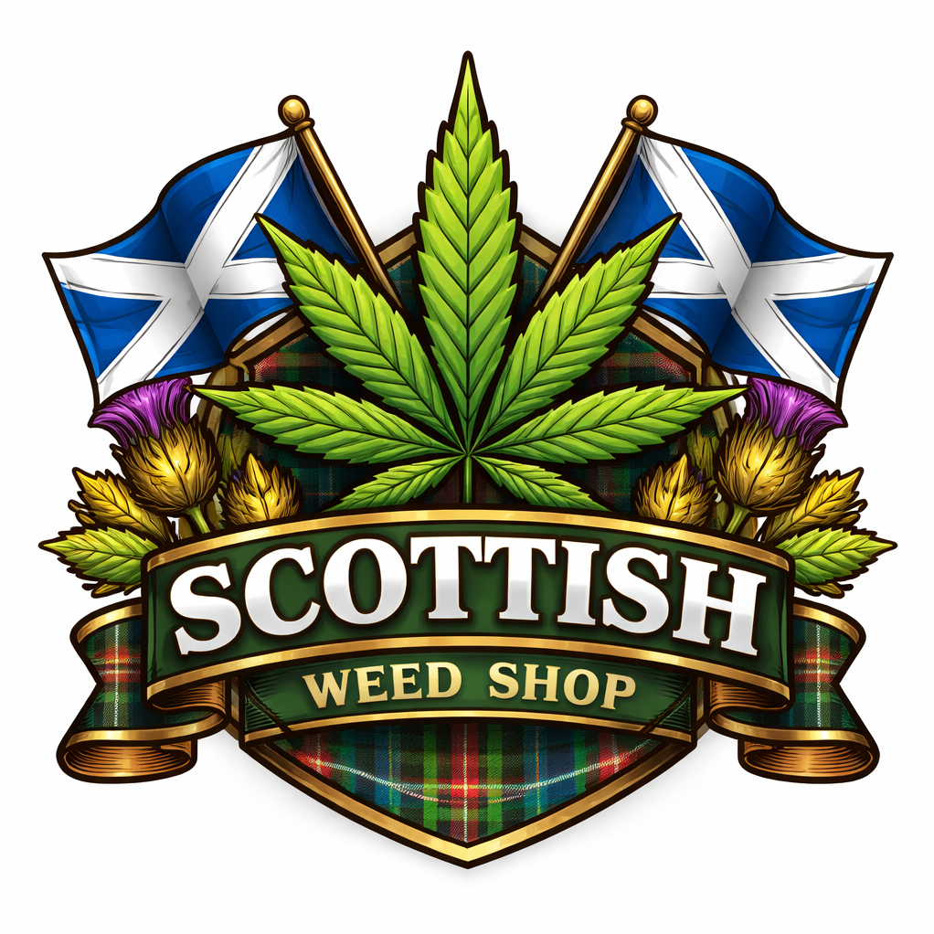 How to buy weed in Dunde-Tourist Guide